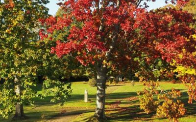 Couleurs d&rsquo;automne